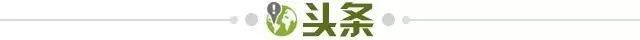 【早报】罗马四连败，穆鸟五连胜！